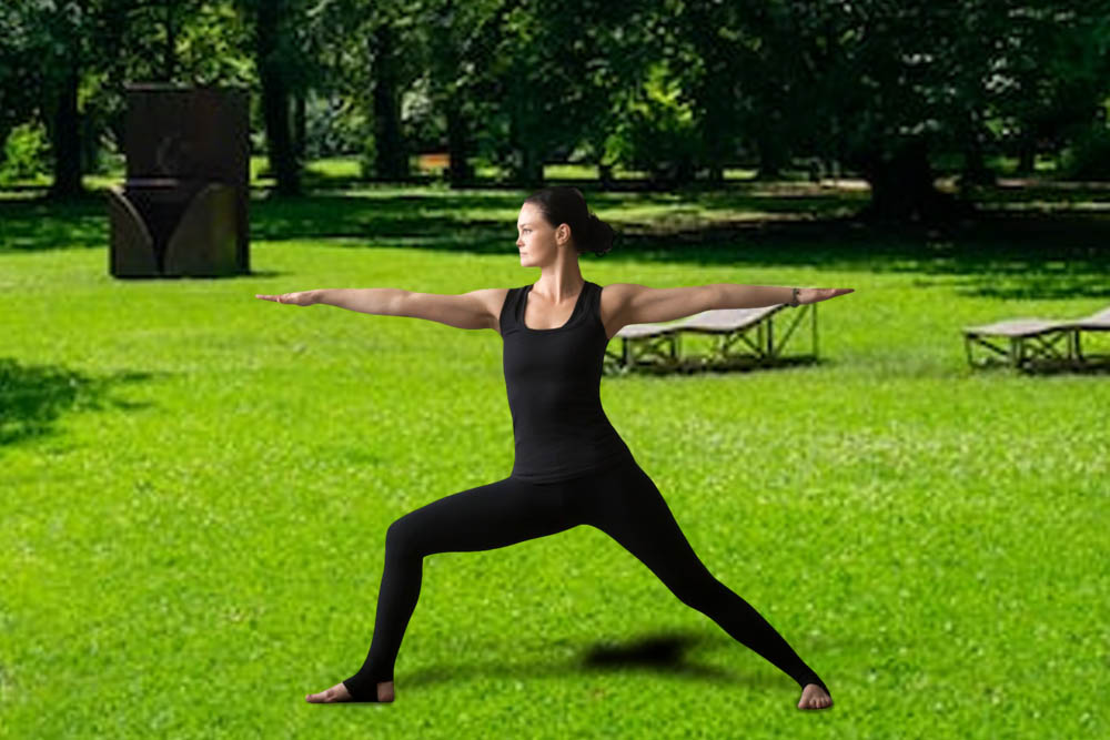 Warrior Pose - Virabhadrasana